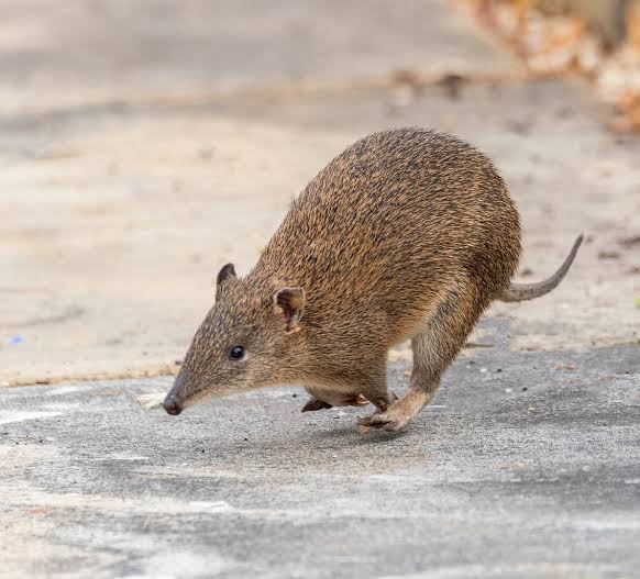 Quenda Crew group photo